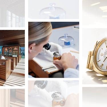 rolex sustainability report|rolex in sustainable development.